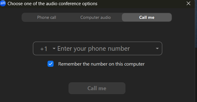 Choose the Use phone for audio option, and type in your phone number.